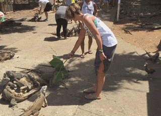 吓死了QQ表情gif搞笑图片