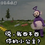 你的小公主QQ表情gif搞笑图片