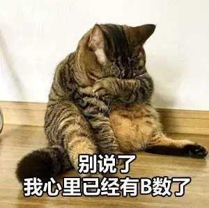 别说了，我心里已经有B数了QQ表情gif搞笑图片