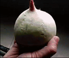 这在我们新东方只是入门级的课程QQ表情gif搞笑图片