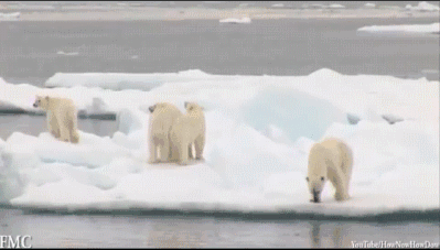 机智的假装在照镜子QQ表情gif搞笑图片