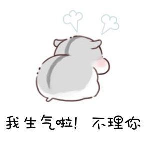 我生气啦！不理你QQ表情gif搞笑图片