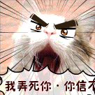 我弄死你，你信不QQ表情gif搞笑图片