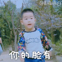 你的脸有这么大QQ表情gif搞笑图片