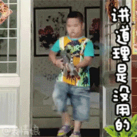 讲道理是没用的QQ表情gif搞笑图片