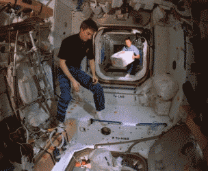 网购的女朋友到了QQ表情gif搞笑图片