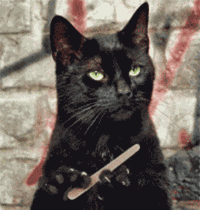 静静的看你装逼QQ表情gif搞笑图片