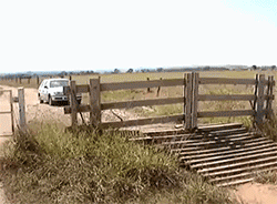 无动力自动承重感应门QQ表情gif搞笑图片