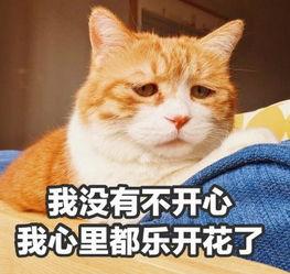 我没有不开心，我心里都乐开花了QQ表情gif搞笑图片