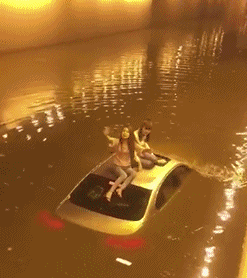 你两还这么高兴，当坐船呢？QQ表情gif搞笑图片