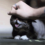 真舒服QQ表情gif搞笑图片