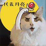 代表月亮消灭你QQ表情gif搞笑图片
