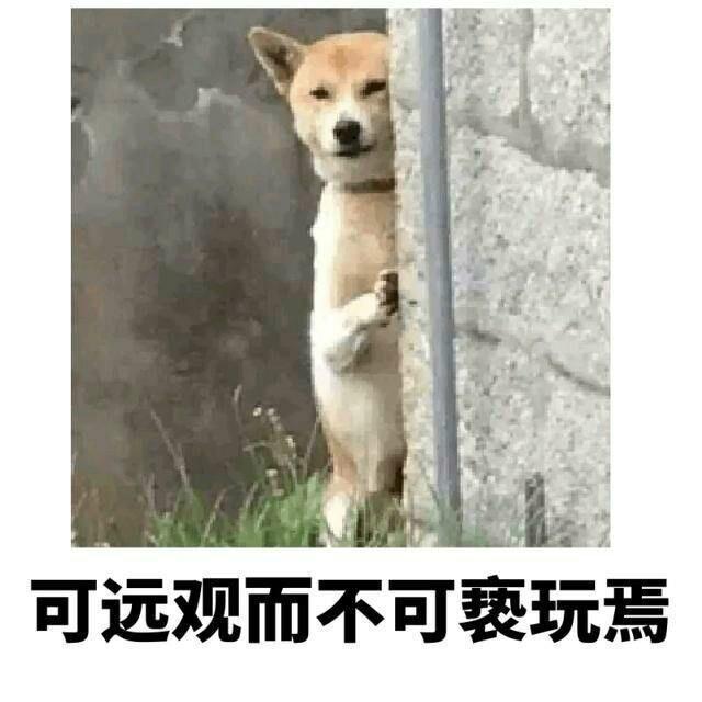 可远观而不可亵玩焉QQ表情gif搞笑图片