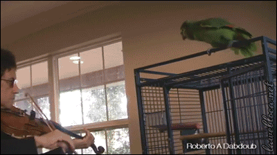 难听死了，就不能安静点吗QQ表情gif搞笑图片