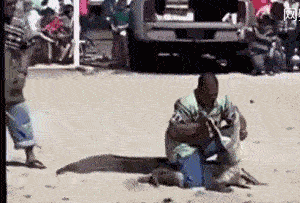 日薪五百，可不容易赚的大哥QQ表情gif搞笑图片