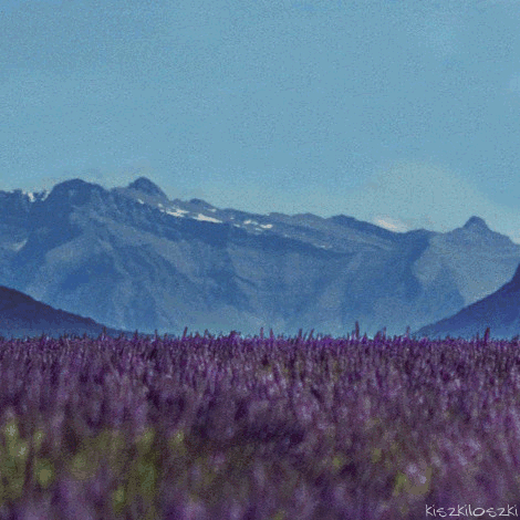 颠覆三观的魔性画作，根本停不下来QQ表情gif搞笑图片