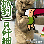 抓到一只奸细QQ表情gif搞笑图片