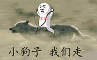 小狗子，我们走QQ表情gif搞笑图片