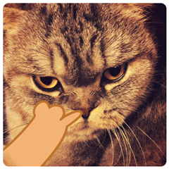 挖鼻孔QQ表情gif搞笑图片