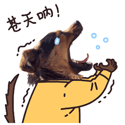 苍天呐！QQ表情gif搞笑图片