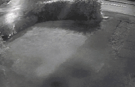 战斗民族这个称号不是浪得虚名QQ表情gif搞笑图片