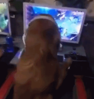 开黑！你去帮对面的QQ表情gif搞笑图片