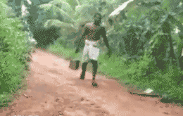 蛇的内心是崩溃的QQ表情gif搞笑图片