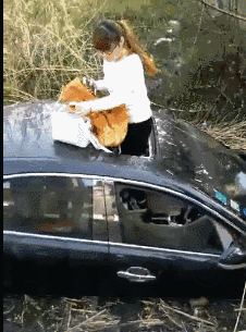 看这位美女，出事了也没见半点慌张QQ表情gif搞笑图片