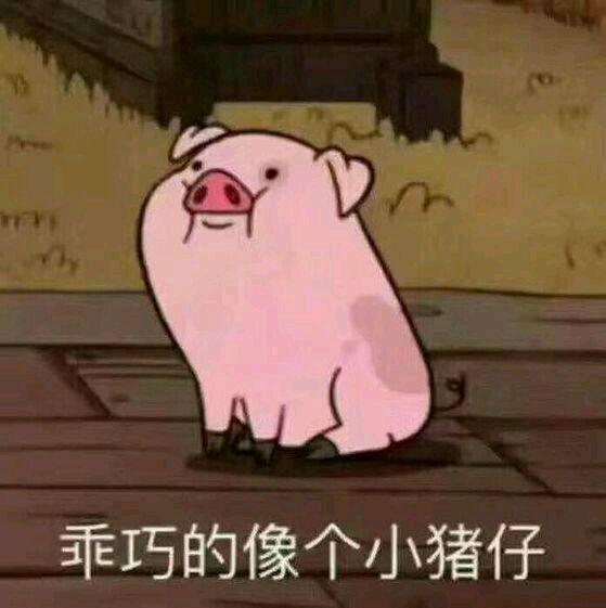 乖巧的像个小猪仔QQ表情gif搞笑图片