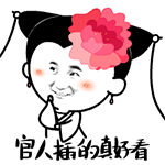 插的真好看QQ表情gif搞笑图片
