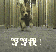 等等我QQ表情gif搞笑图片