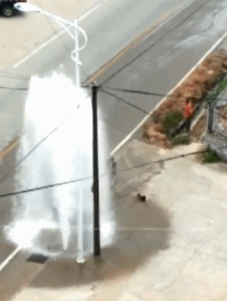 趁着这个机会，我也赶紧洗洗QQ表情gif搞笑图片