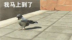 我马上到了QQ表情gif搞笑图片