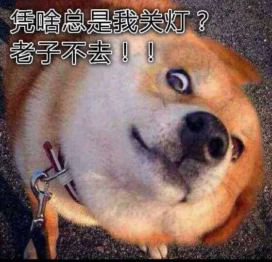 凭啥总是我关灯？老子不去！！QQ表情gif搞笑图片