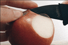 这样的刀工，还有谁不服QQ表情gif搞笑图片