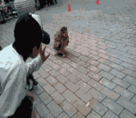 不理睬QQ表情gif搞笑图片