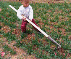 好孩子早当家QQ表情gif搞笑图片