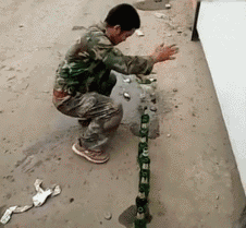 拍酒瓶子不仅要手臂力量足够大，而且还需要长时间的训练 厉害了我的哥QQ表情gif搞笑图片