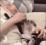 不想起床QQ表情gif搞笑图片