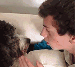 你妹的，别碰我QQ表情gif搞笑图片