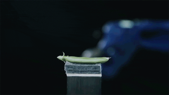 机器人，这刀工，我大兰州拉面表示有压力QQ表情gif搞笑图片