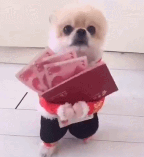 压岁钱是我的QQ表情gif搞笑图片