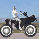 史上最牛车QQ表情gif搞笑图片