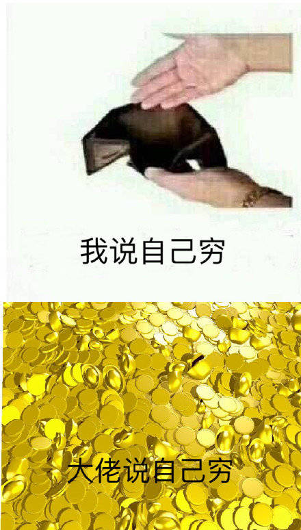 我说自己穷 大佬说自己穷爱斗图gif搞笑图片
