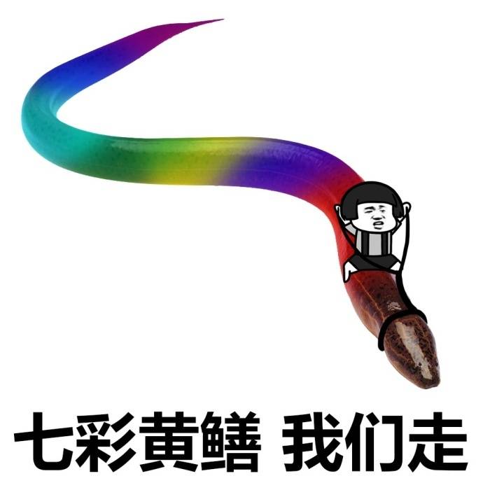 七彩黄鳝，我们走爱斗图gif搞笑图片