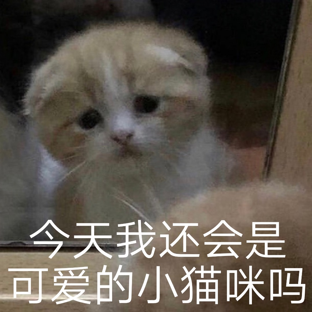 今天我还会是可爱的小猫咪吗爱斗图gif搞笑图片