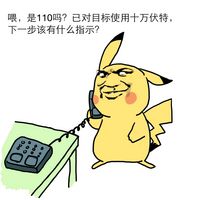 喂，是110吗？已对目标使用十万伏特，下一步该有什么指示？爱斗图gif搞笑图片