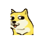 doge小黄狗摇头爱斗图gif搞笑图片