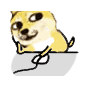 doge小黄狗玩电脑爱斗图gif搞笑图片