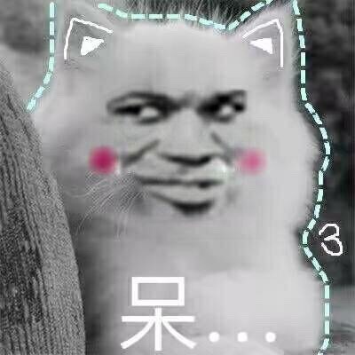 呆。。爱斗图gif搞笑图片